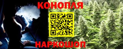 крисы Ипатово