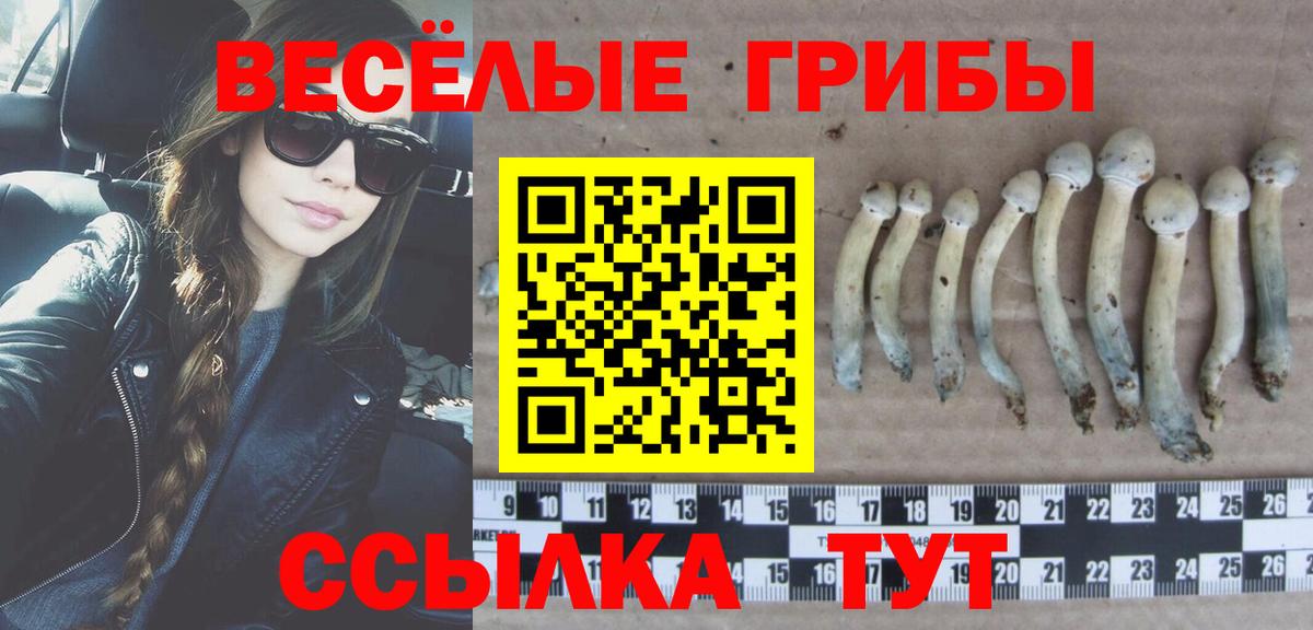 ГАШ Магадан