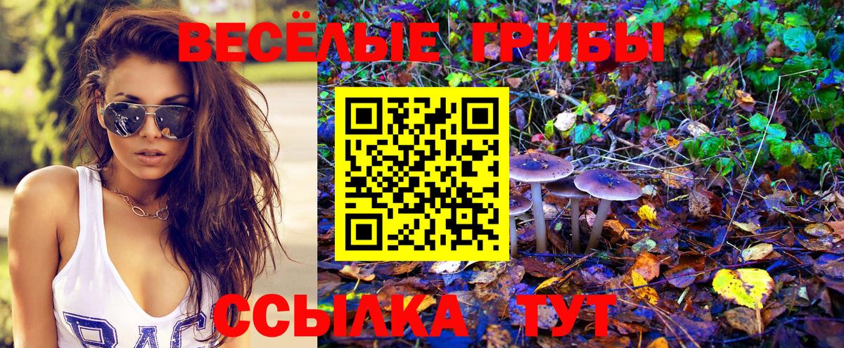 Галлюциногенные грибы мицелий Магадан