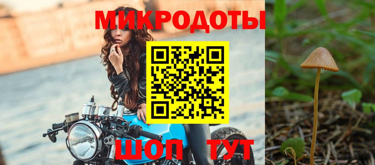 Псилоцибиновые грибы GOLDEN TEACHER  Псилоцибиновые грибы мухоморы  Вход с VPN  Магадан 